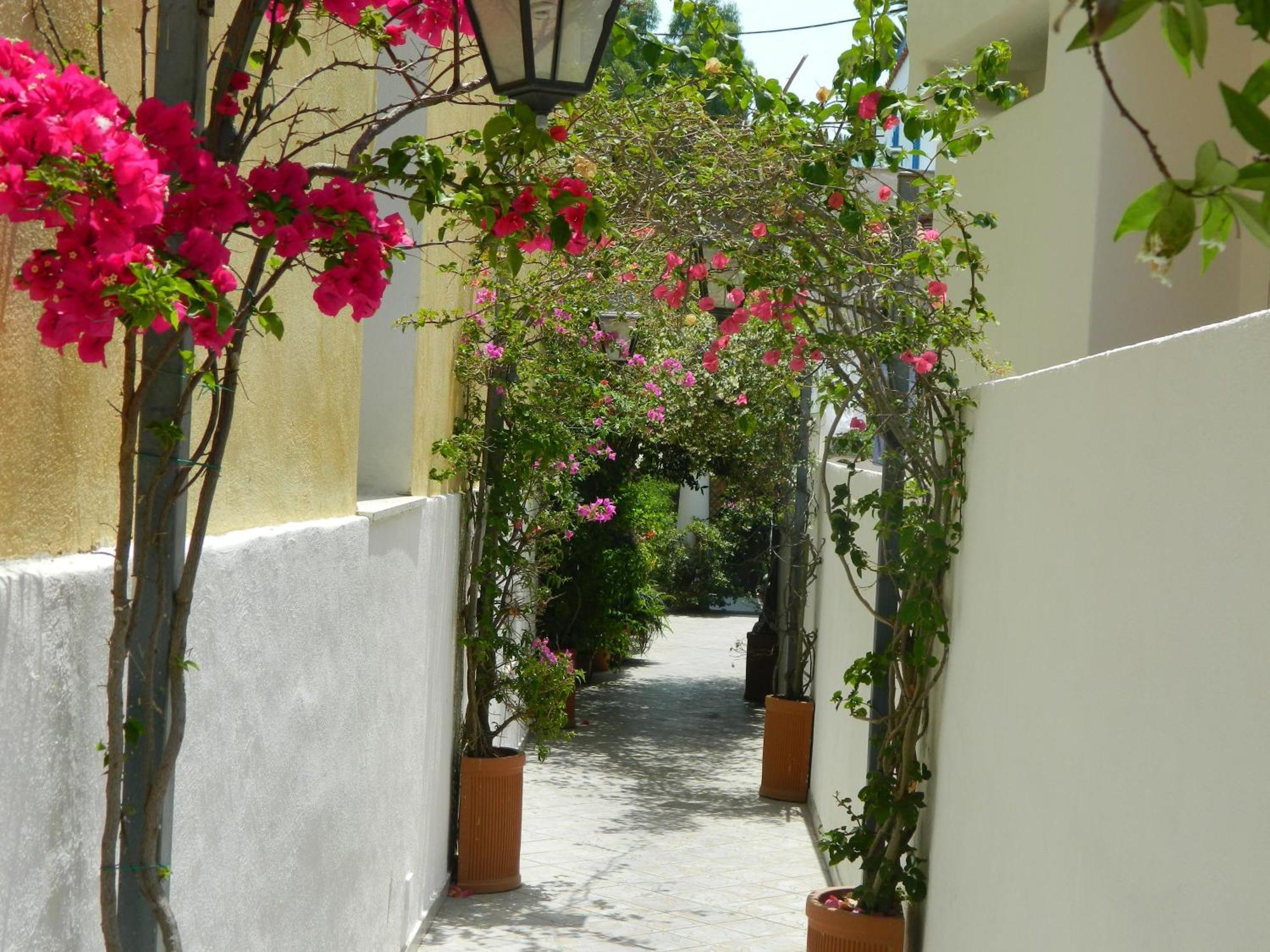 Hotel Villa Hermosa ايسكيا المظهر الخارجي الصورة